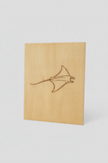 Manta Ray - Gray Background